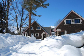 Отель Alpine Chalets Hakuba  Хакуба